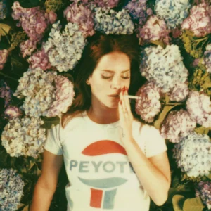 Poster Lana Del Rey Flowers