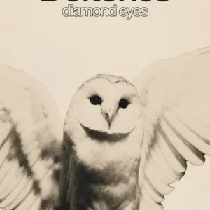 Poster Deftones Diamond Eyes