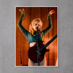 Poster Hayley Williams Veil